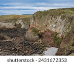 Colourful coastal cliffs on the Wales Coast Path. The rocks are of the New Harbour Group - Mica schist and psammite, metamorphic bedrock formed 635 to 541 million years ago in the Ediacaran period.