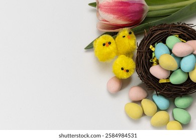 Colourful easter eggs in a nest next to little yellow toy chicks and a tulip. Isolated against white with copy space.