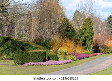 Colourful English Winter Garden Scene