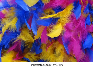 colourful feathers background