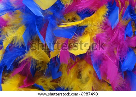 colourful feathers background