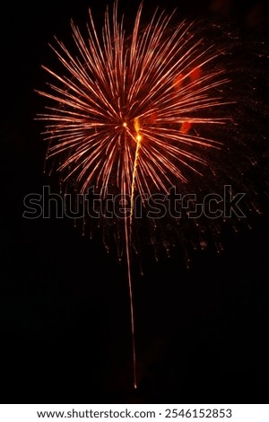 colourful firework display set for celebration happy new year and merry christmas and  fireworks on black background