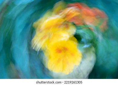 Colourful flower blurs painterly effect of nasturtium. - Shutterstock ID 2219261305