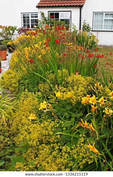 Colourful Flower Border Cottage Garden Daylilies Stock Photo Edit