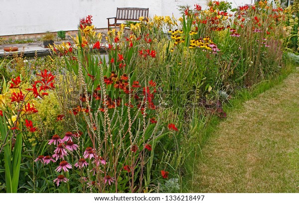 Colourful Flower Border Cottage Garden Heleniums Stock Photo Edit