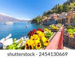 Colourful flowers by the lake, Varenna, Province of Lecco, Lake Como, Italian Lakes, Lombardy, Italy, Europe