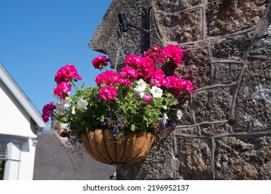 Colourful Flowers Chagford Dartmoor Devon In Summer England UK Market Town Near Moretonhampstead