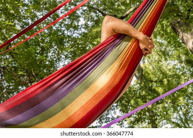 hammac images stock photos vectors shutterstock hammac