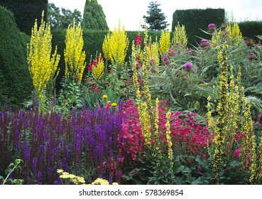 Colourful Herbaceous Border In A Cottage Garden