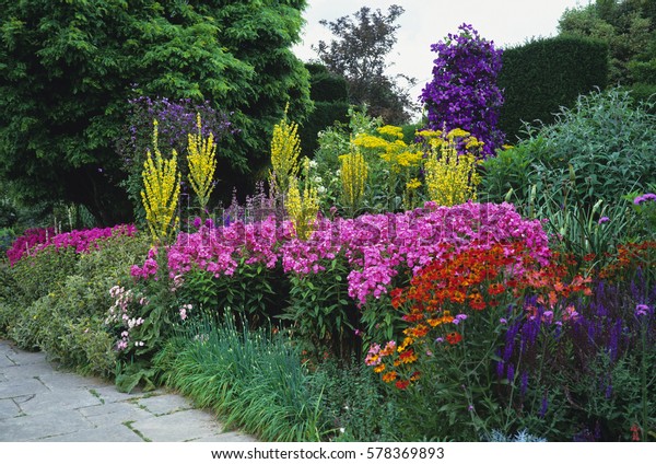 Colourful Herbaceous Border Cottage Garden Stock Photo Edit Now