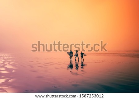  Colourful image. Early morning, surfers walking on the beach. Three surfers, walk along an ocean beach with their surfboards in hand.
