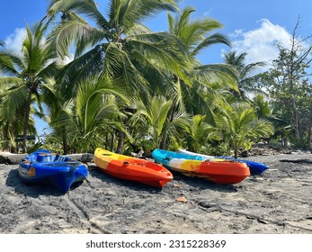 Colourful kayaks on the sand with palm trees in the background - Shutterstock ID 2315228369
