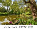 Colourful landscape with vibrant trees and flowers in Nottingham Arboretum 