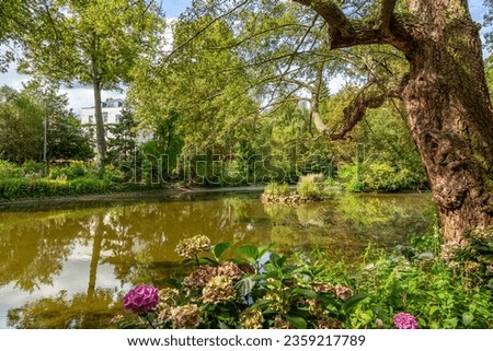 Colourful landscape with vibrant trees and flowers in Nottingham Arboretum 