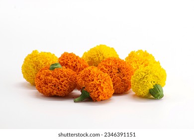 COLOURFUL MARIGOLD FLOWERS  ISOLATED ON WHITE BACKGROUND.