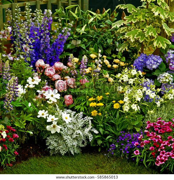 Colourful Mixed Flower Border Cottage Garden Stock Photo Edit Now