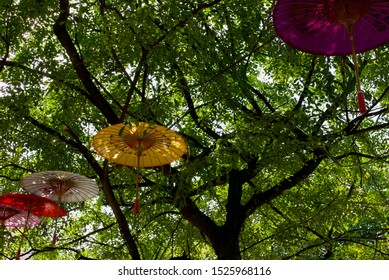 Colourful Oriental Parasols Arranged In Trees In River Valley In Singapore