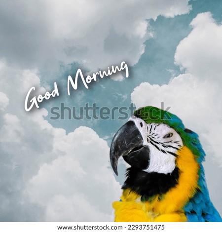 Colourful Parrot with beautiful clouds and caption.