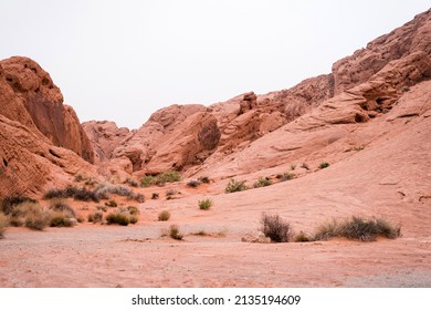 Colourful Red Rocks In Valley Of Fire Nevada State Park