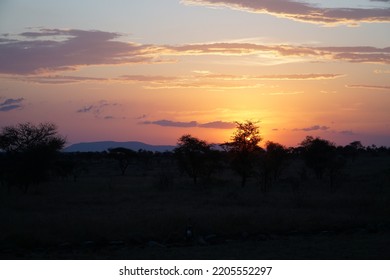 A Colourful Serengeti Sunset During Summer