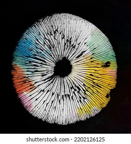 Colourful Spore Print On Black