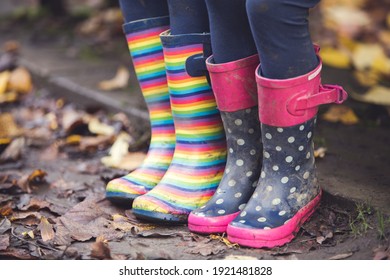 Colourful stripy and spotty wellies on an autumnal day