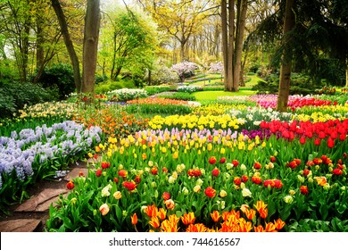 Colourful Tulips Flowerbeds and Path in an Spring Formal Garden, retro toned