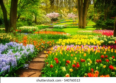 Colourful Tulips Flowerbeds and Stone Path in an Spring Formal Garden, retro toned