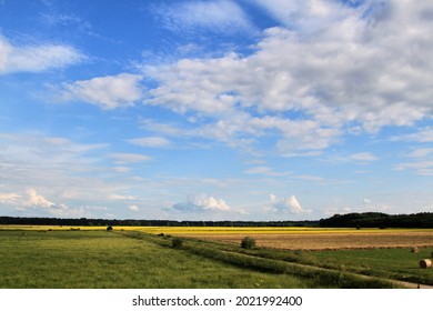Colourful yellow rape field . High quality photo. Selective focus