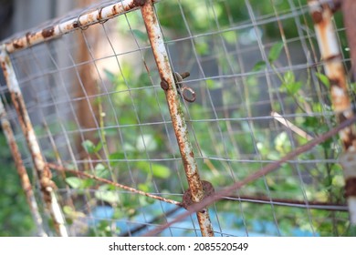 Colseup Of The  Rusty Trapper Cage