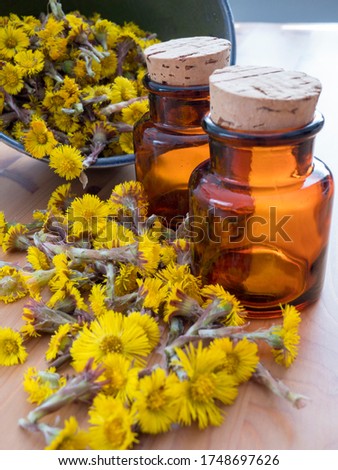 Coltsfoot (Tussilago farfara) yellow flowers and stems in a bowl and scattered on the table with two pharmacy glass bottles standing beside