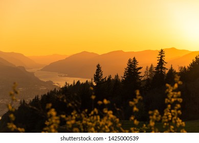 Columbia River Flowing Through Layers Of Mountains And Silhouetted Pacific Northwest Trees In The Columbia River Gorge At Golden Hour