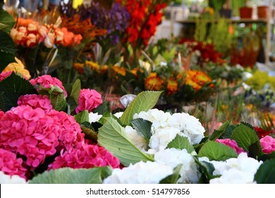 Columbia Road Flower Market 2/8