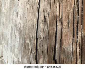 Columbia South Carolina, Cracked Telephone Pole Texture Close Up