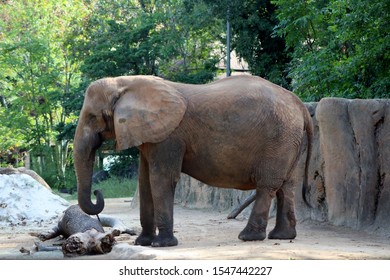 55 Columbia sc zoo Images, Stock Photos & Vectors | Shutterstock