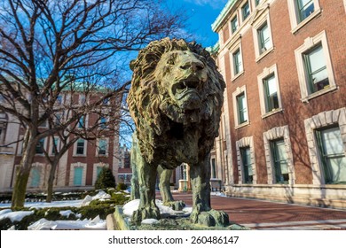 Columbia University Of New York In Winter