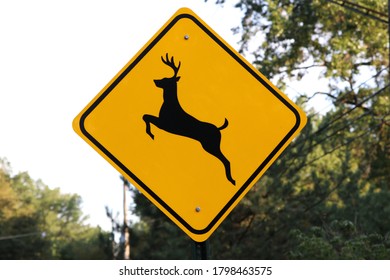 Columbus, Ohio August 15, 2020
Deer Crossing Sign In A Residential Neighborhood.