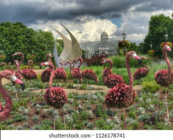 COLUMBUS, OHIO - JUNE 27, 2018:  The Franklin Park Conservatory in Columbus, Ohio added 75 bigger than life flamingo topiaries to their outdoor display area.  The topiaries are made of pink begonias.