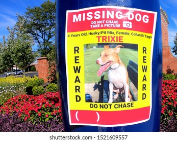 Columbus, Ohio September 30,2019: Missing Dog Posting In Suburban Neighborhood.