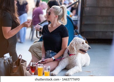 Columbus Ohio - United States.  July 25th 2019.  Young people drink beer on the patio with a dog. 
