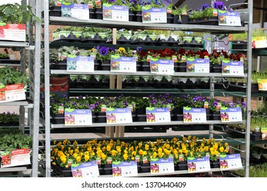 Columbus, OH/USA April10,2019: Potted Plants And Flowers At Local Hardware Store.