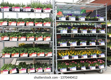 Columbus, OH/USA April10,2019: Potted Plants And Flowers At Local Hardware Store.