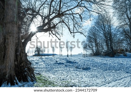 Columbus Park in Derry, Northern Ireland in winter scenery.