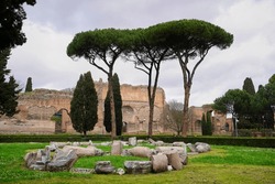 Column Fragments Arranged Into A Figure Lie In The Grass In Front Of The Ruins Of The Baths Of Caracalla. Three Pine Trees Stand In The Center Of The Picture.