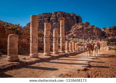 Columnated street Petra with bedouin and camel, Jordan, Middle East