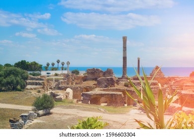 Columns In Anthony Terms. Carthage Excavations Of The Roman Punic Wars. Tunisia 18 06 2019