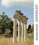 Columns of the Gymnasion in ancient Kos rise between dry grass and oats