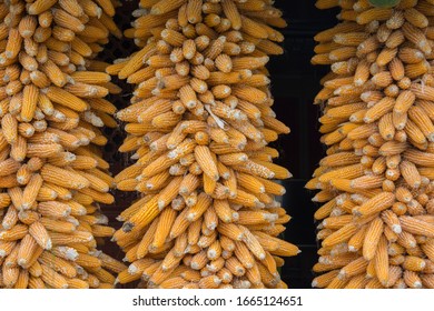Columns of many dry corn cobs, hanged together 
