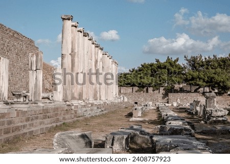 Columns in the Sanctuary of Asclepion (Asclepieion), the ruins of Pergamon lower city. Bergama (Izmir region), Turkey (Turkiye)