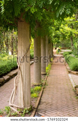   Columns in the spring on a brick path